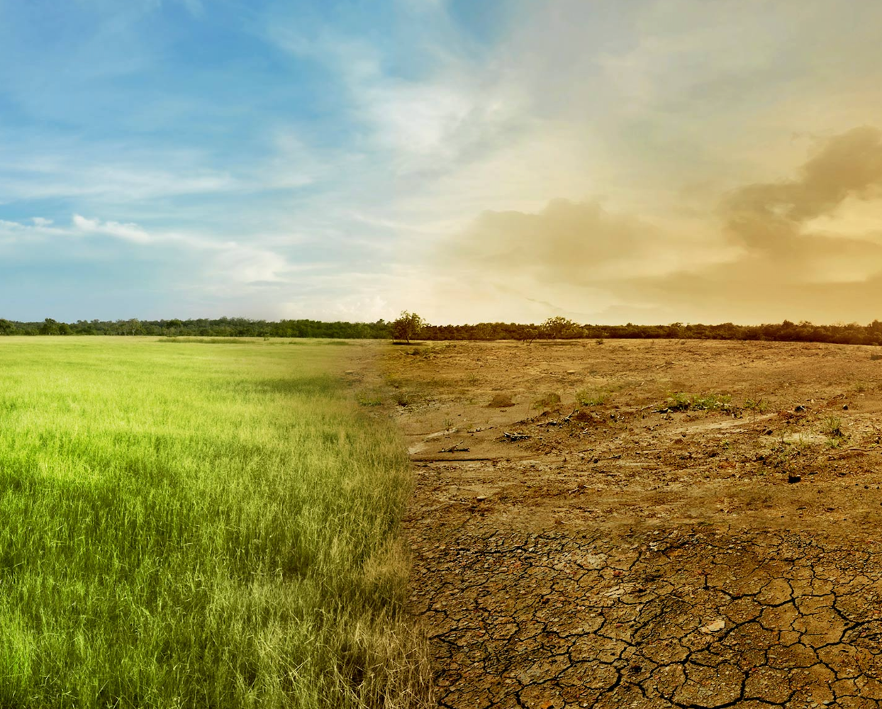 Cambio Climático