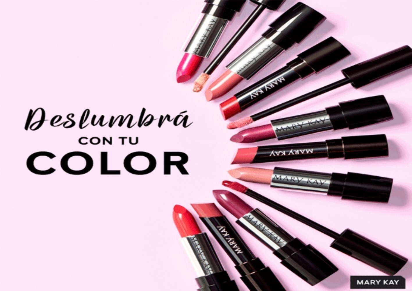 Productos de Alta Calidad