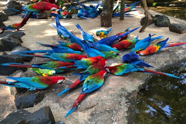 Parque de las Aves