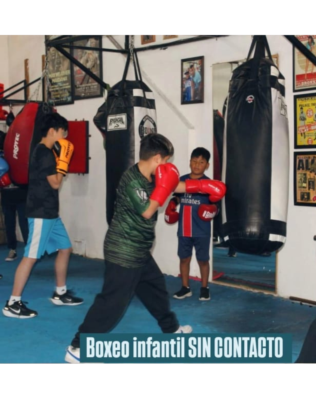 Entrenamiento profesional en deportes de combate