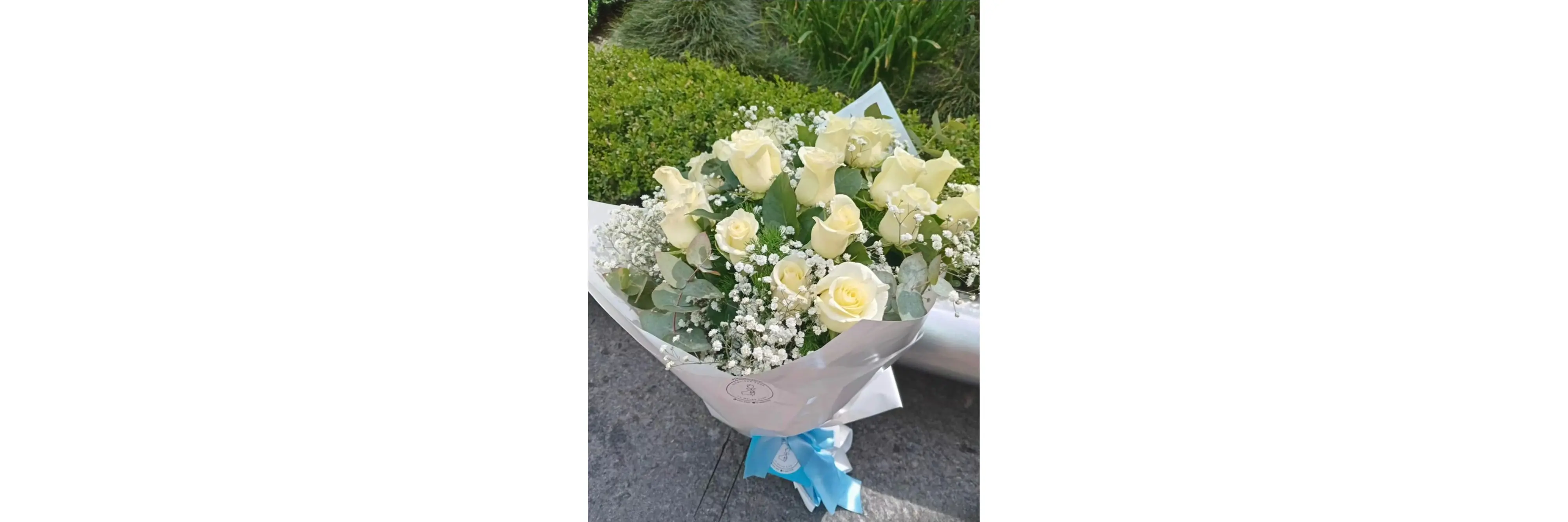 La Mejor Flor Orquídea Shop
