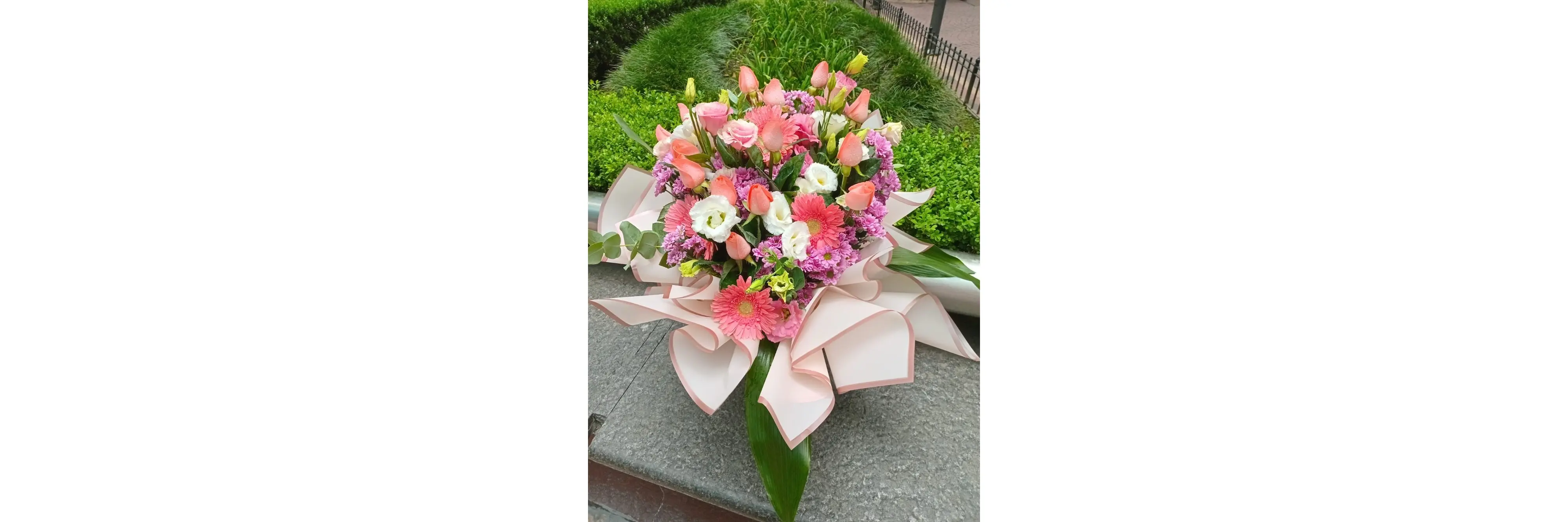 La Mejor Flor Orquídea Shop