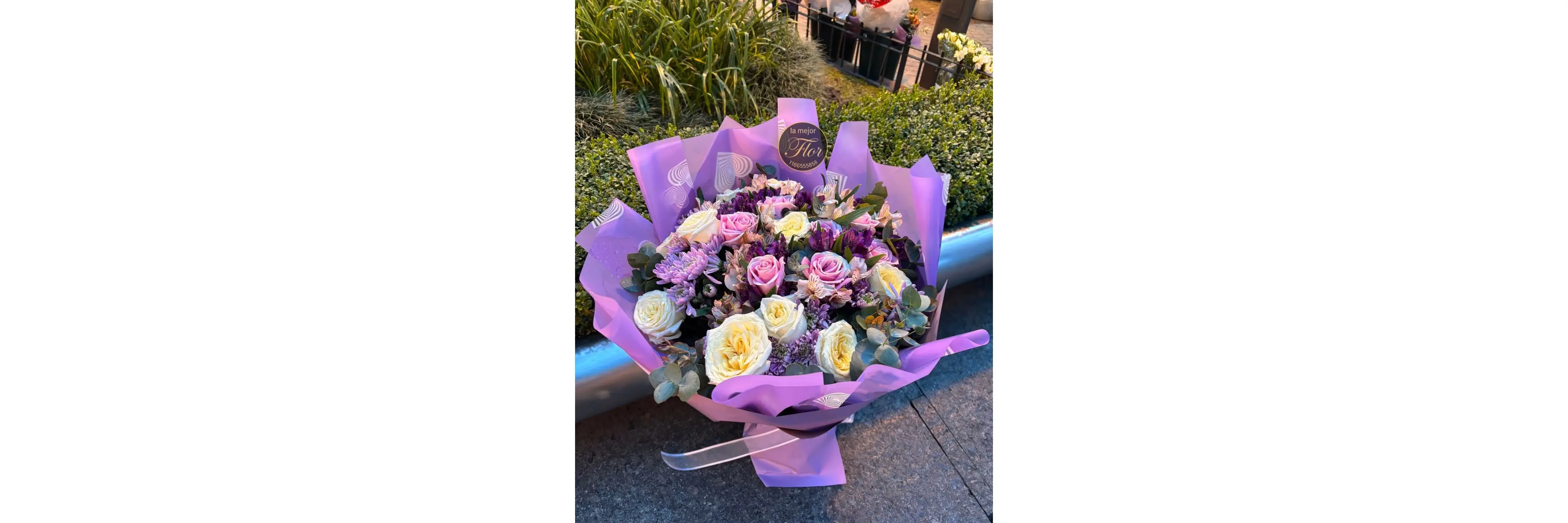 La Mejor Flor Orquídea Shop