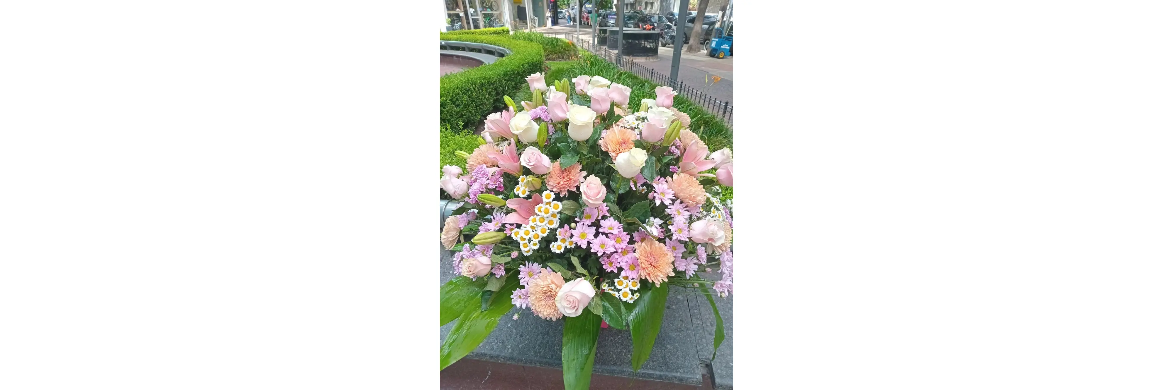 La Mejor Flor Orquídea Shop