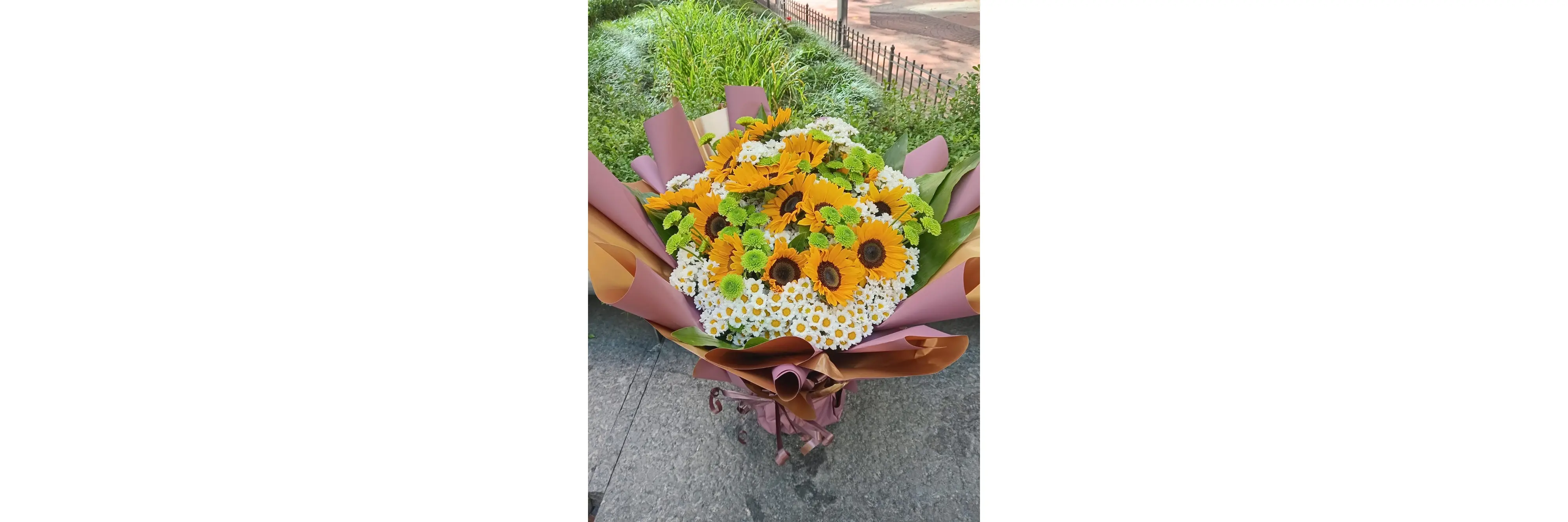 La Mejor Flor Orquídea Shop