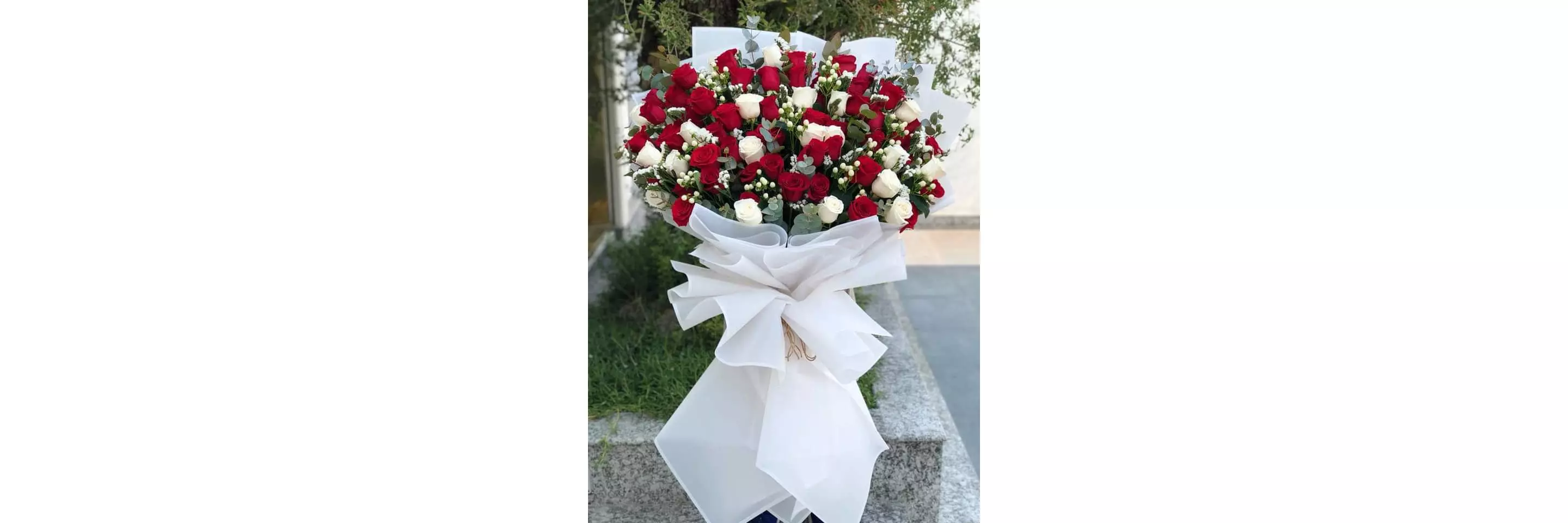 La Mejor Flor Orquídea Shop