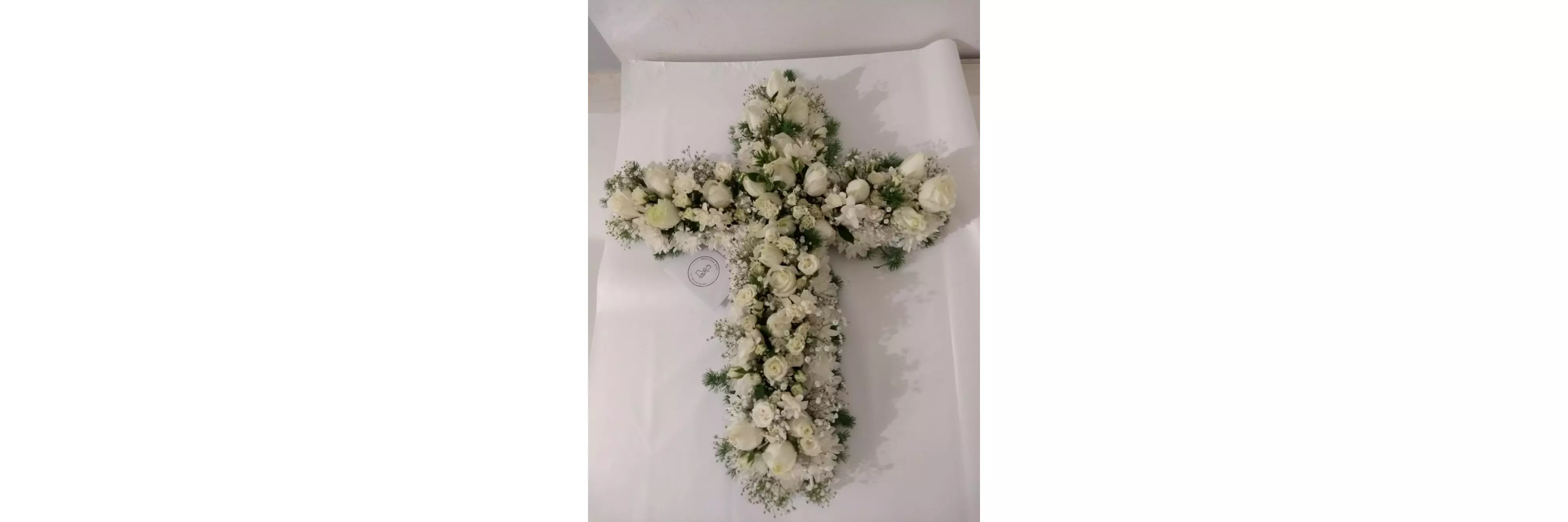La Mejor Flor Orquídea Shop