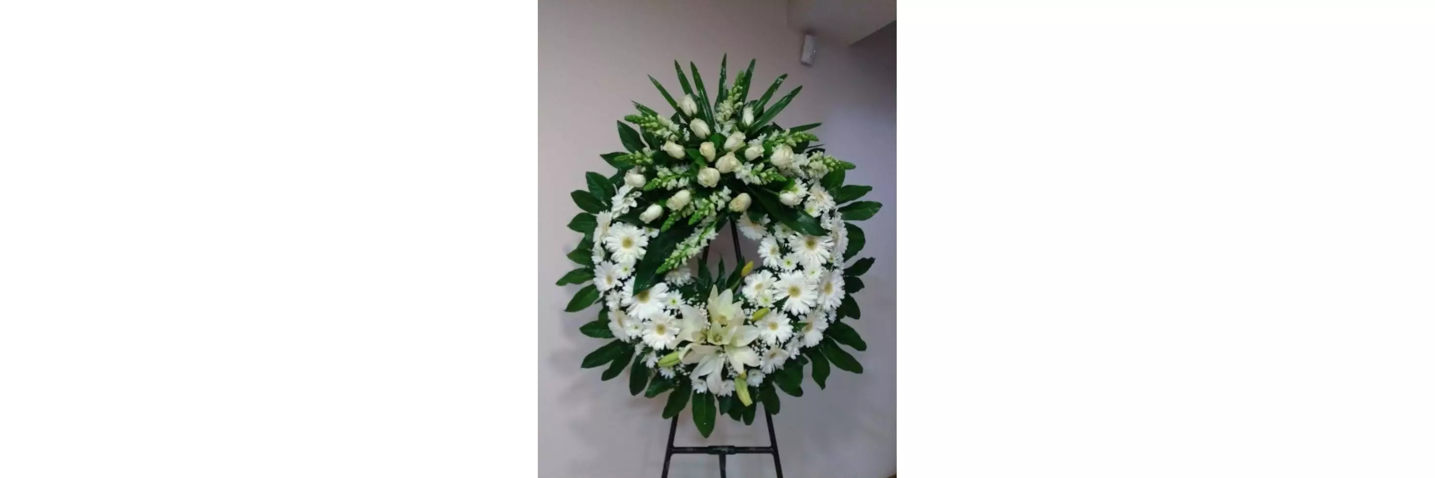 La Mejor Flor Orquídea Shop