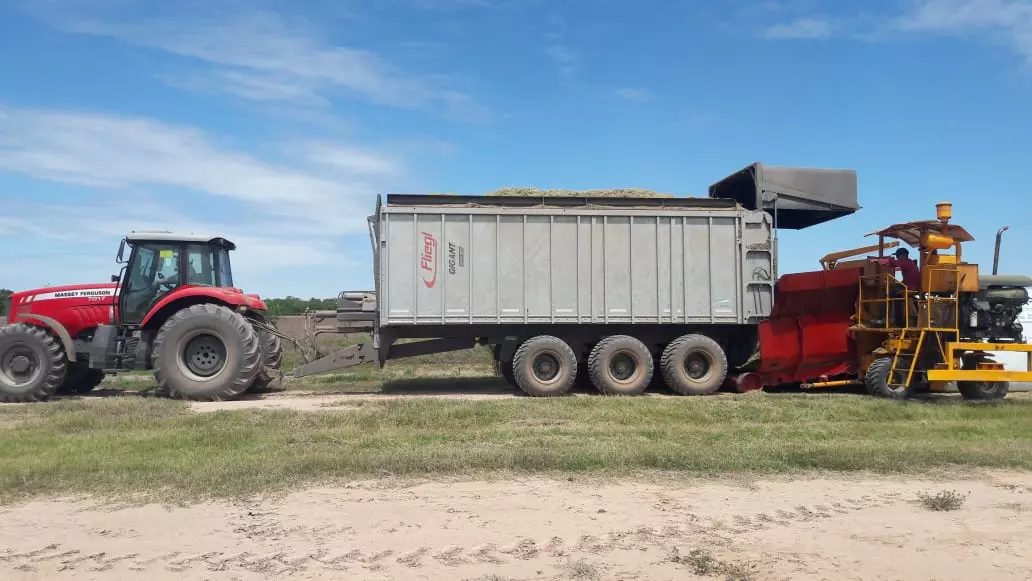 de gran capacidad, desde 35 mts hasta 70 mts.