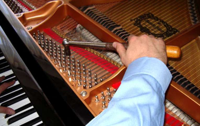 Técnico Profesional de Pianos